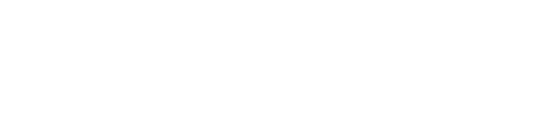 Logo DT Pro Fab